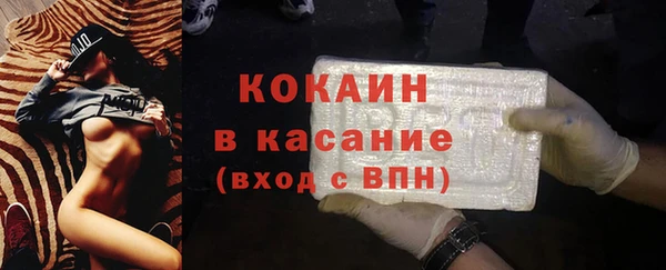 прущие грибы Корсаков