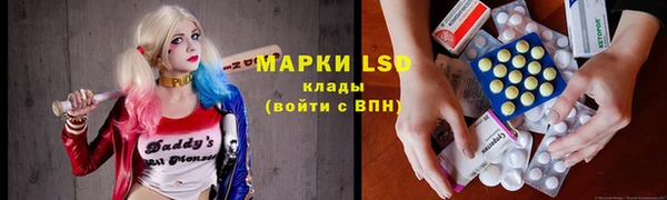 прущие грибы Корсаков