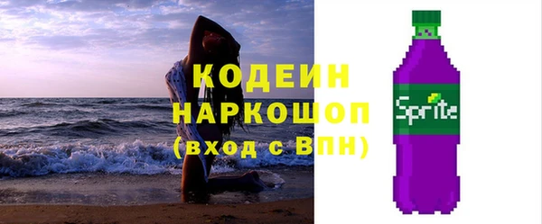 прущие грибы Корсаков