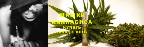 прущие грибы Корсаков