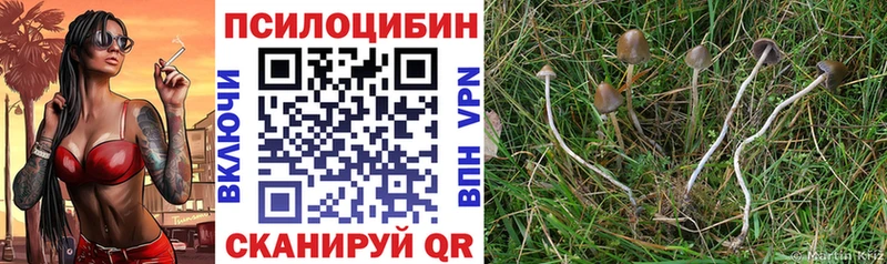 Псилоцибиновые грибы мицелий  кракен ссылки  Мантурово 